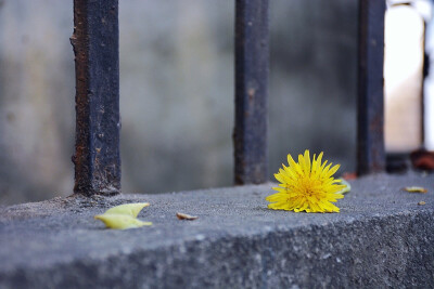 秋冬季节