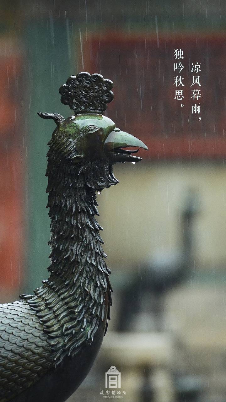 十月二十七日，雨。秋雨微寒，注意添衣保暖