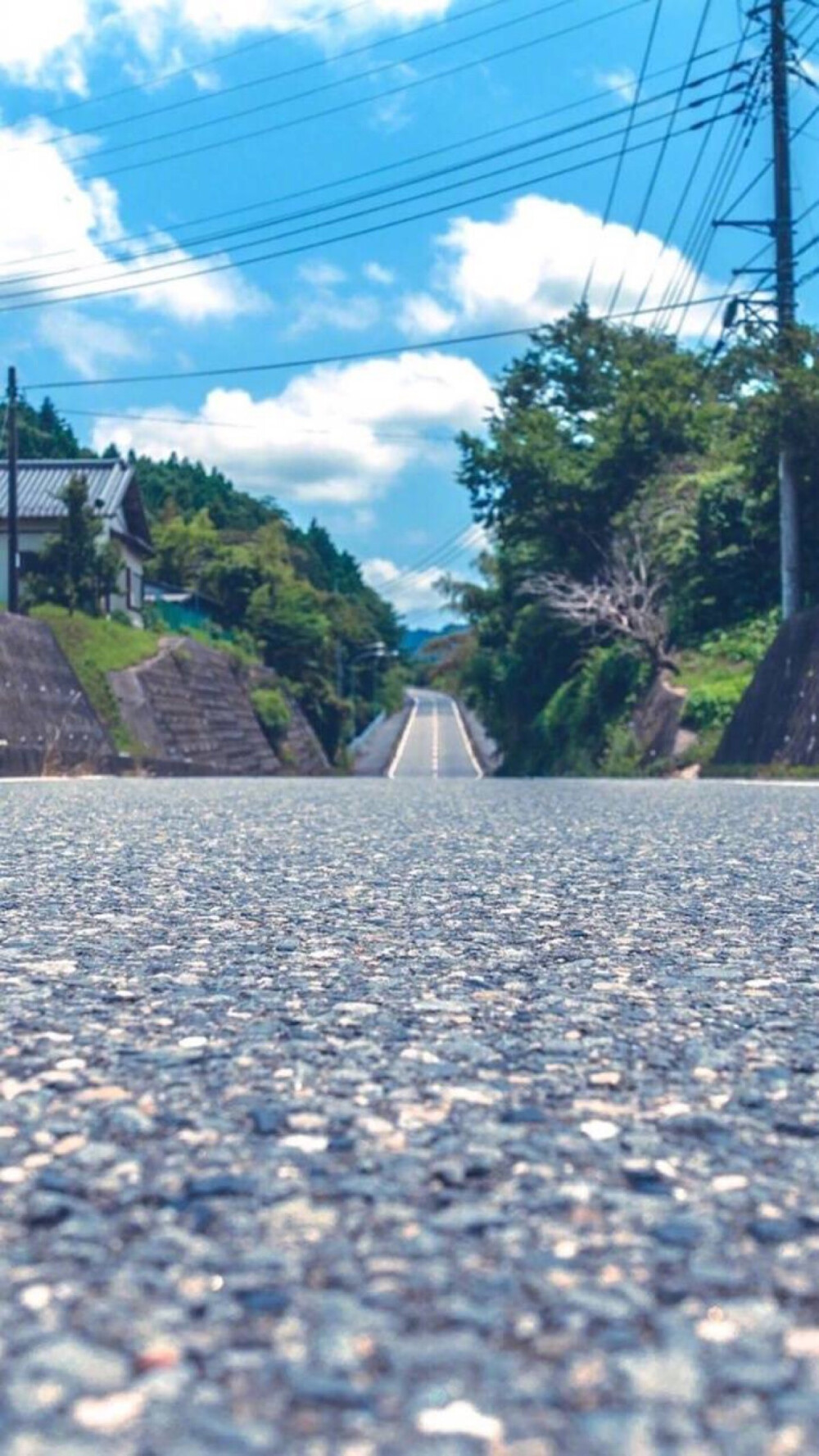 天空 公路