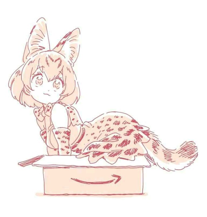 薮猫: