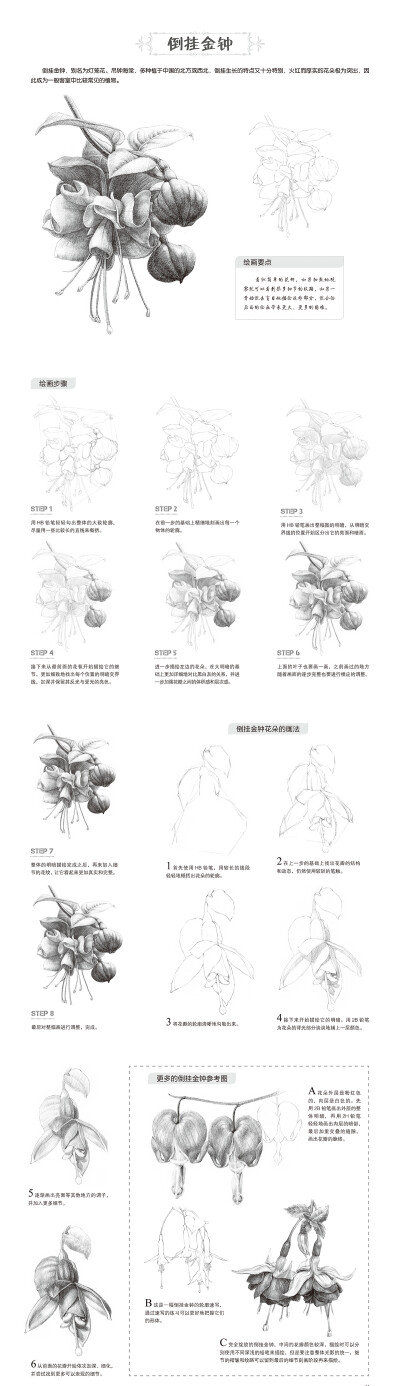 本案例摘自人民邮电出版社出版的《一日一画素描入门：综合篇》http://product.dangdang.com/24239792.html