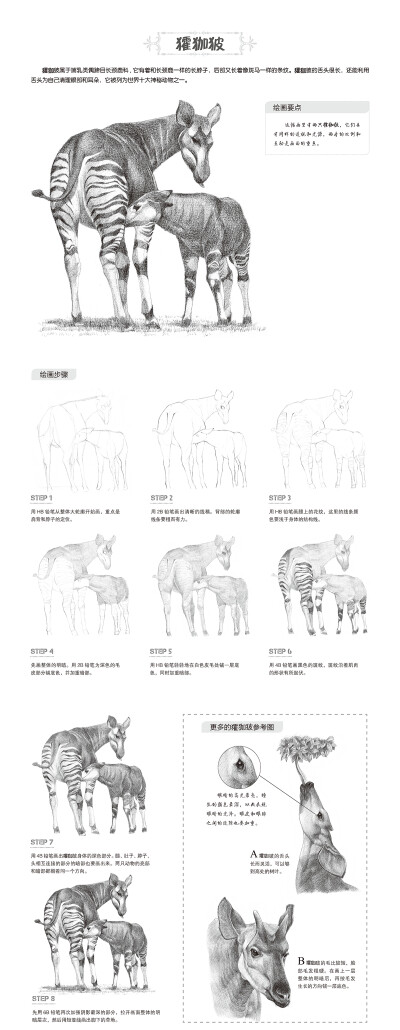 本案例摘自人民邮电出版社出版的《一日一画素描入门：综合篇》http://product.dangdang.com/24239792.html