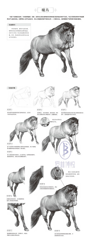 本案例摘自人民邮电出版社出版的《一日一画素描入门：动物篇》。更多原创绘画教程和作品将在“爱林文化”公众号（aiibook）中长期分享！爱林博悦——只为悦读者！