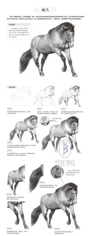 素描- 堆糖