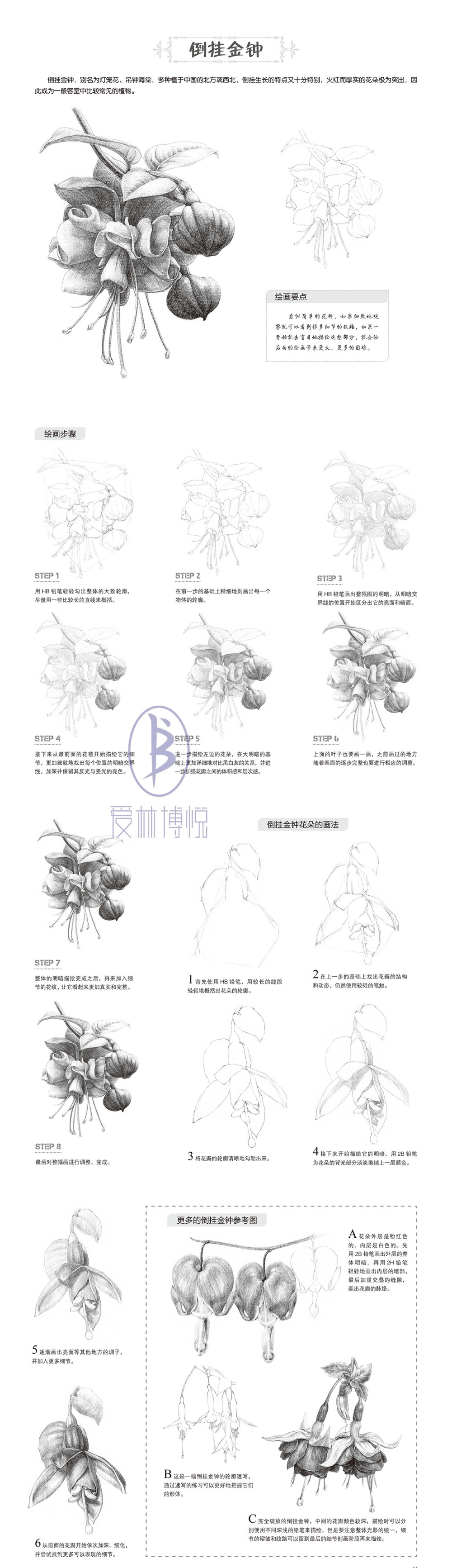 本案例摘自人民邮电出版社出版的《一日一画素描入门：综合篇》。更多原创绘画教程和作品将在“爱林文化”公众号（aiibook）中长期分享！爱林博悦——只为悦读者！