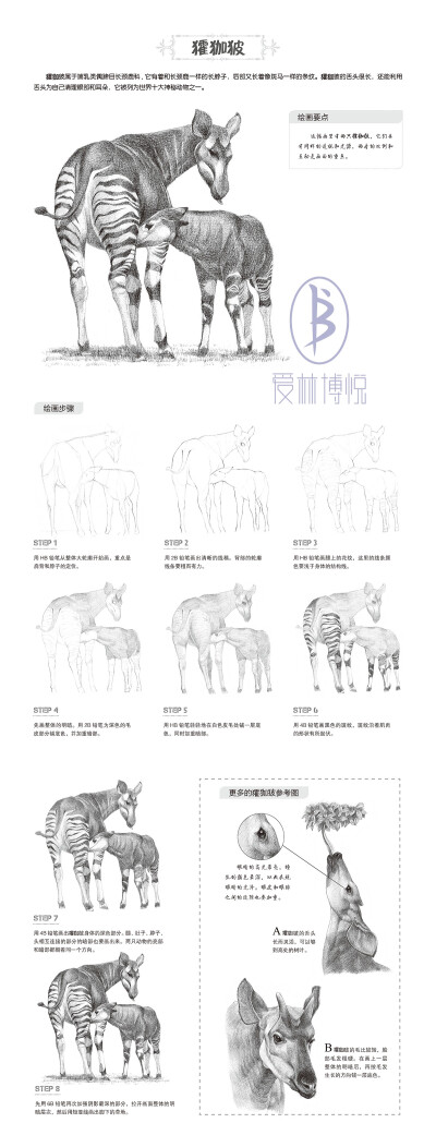 本案例摘自人民邮电出版社出版的《一日一画素描入门：综合篇》。更多原创绘画教程和作品将在“爱林文化”公众号（aiibook）中长期分享！爱林博悦——只为悦读者！