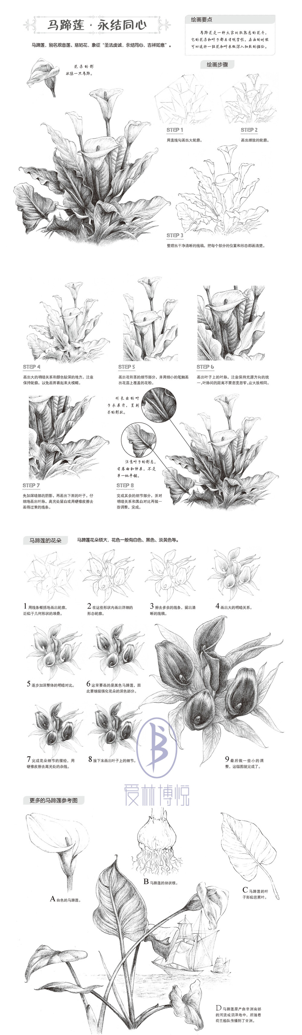 本案例摘自人民邮电出版社出版的《一日一画素描入门：花卉篇》。更多原创绘画教程和作品将在“爱林文化”公众号（aiibook）中长期分享！爱林博悦——只为悦读者！