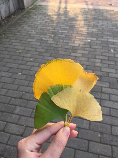 阳光正好，微风不躁