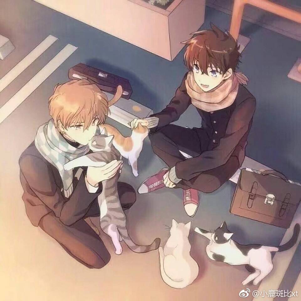 堆糖,美图壁纸兴趣社区
