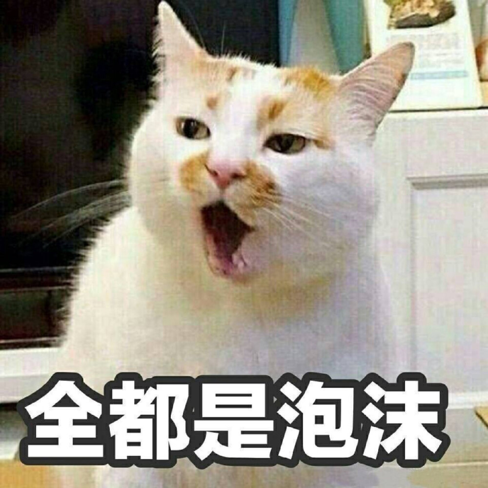 萌宠 猫咪 喵星人 表情 cr 微博