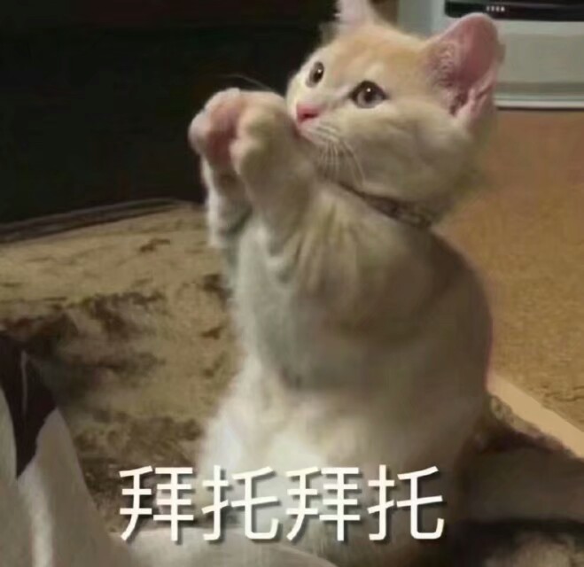 猫咪表情包
拜托拜托