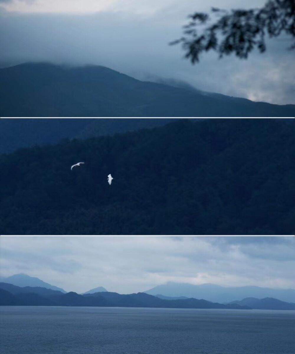 空山新雨后