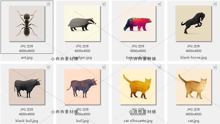 折纸低多边形动物头像鹦鹉熊猫狐狸鸟北极熊AI设计素材ai280