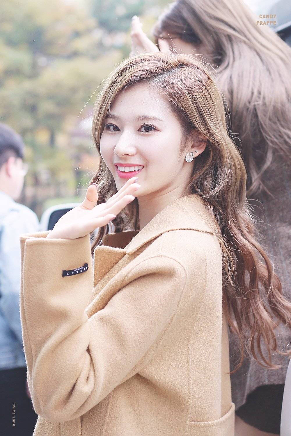 凑崎纱夏 Sana
TWICE成员