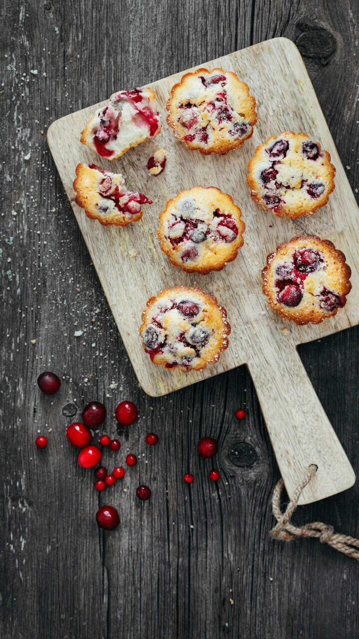 （｡ò ∀ ó｡）。。