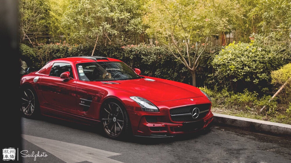 【野生P1+SLS AMG】