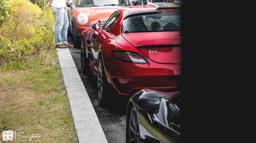 【野生P1+SLS AMG】