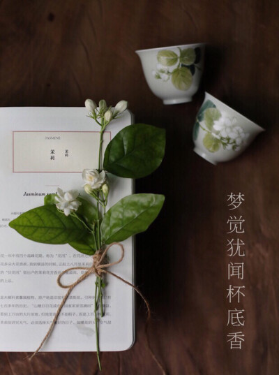 ┊品杯
釉下手绘茉莉花功夫茶杯，花落花開一年四季週而復始，我們選擇每個季節里的花卉果實，繪製於器具之上，讓四季之美，於你手中停留。