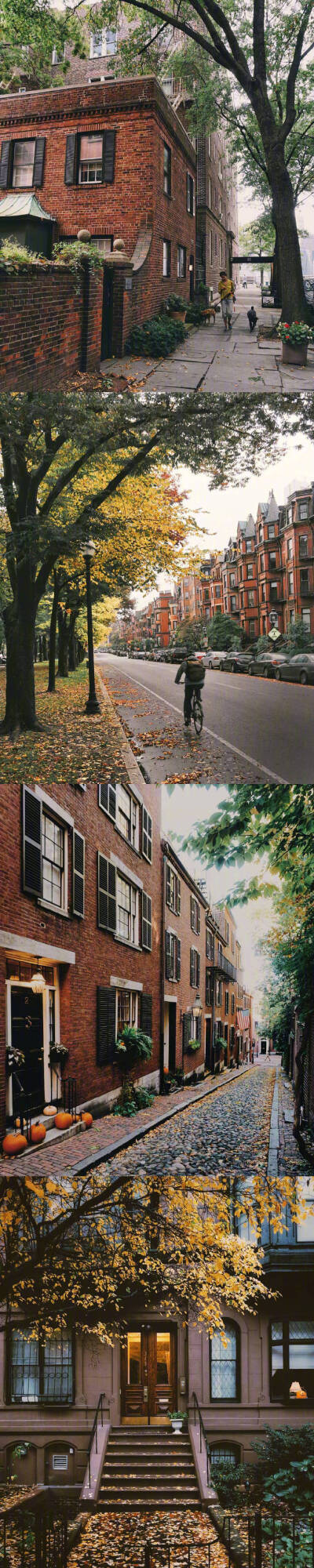 波士顿之秋，要一起去吗？