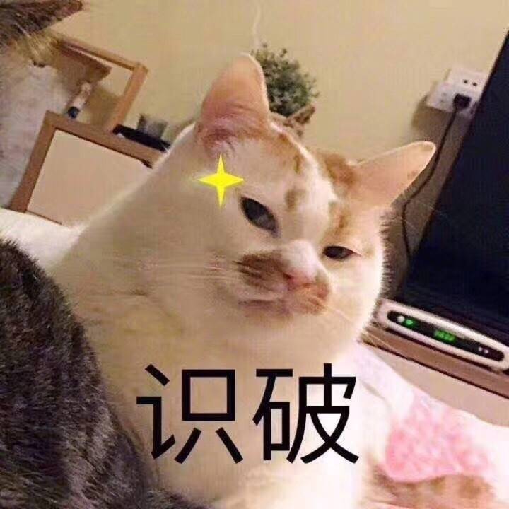 楼楼