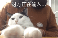 对方正在输入……猫 表情包