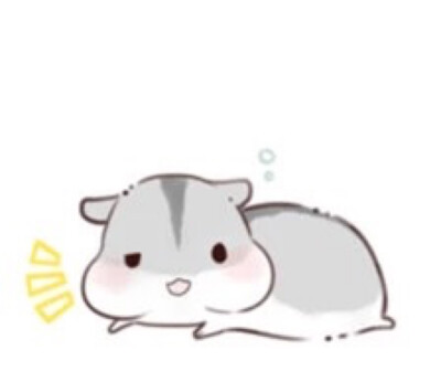 hamham仓鼠萌翻你