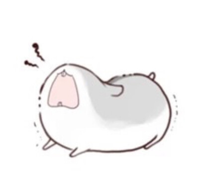 hamham仓鼠萌翻你