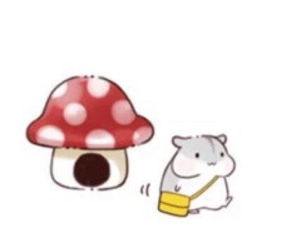hamham仓鼠萌翻你