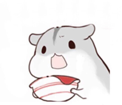 hamham仓鼠萌翻你