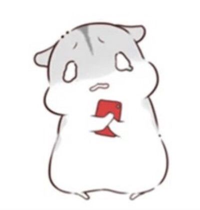hamham仓鼠萌翻你