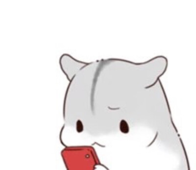 hamham仓鼠萌翻你