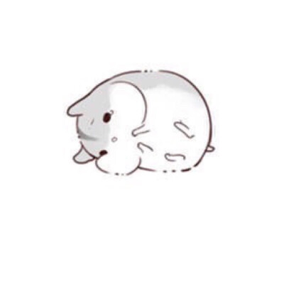 hamham仓鼠萌翻你