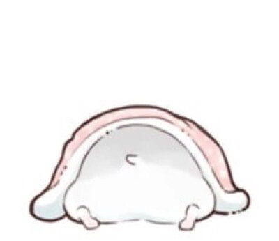 hamham仓鼠萌翻你