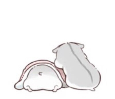 hamham仓鼠萌翻你