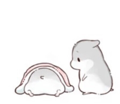 hamham仓鼠萌翻你