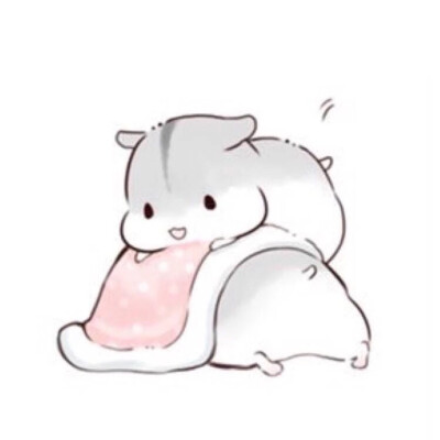 hamham仓鼠萌翻你