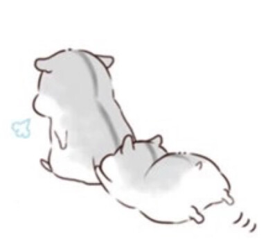 hamham仓鼠萌翻你