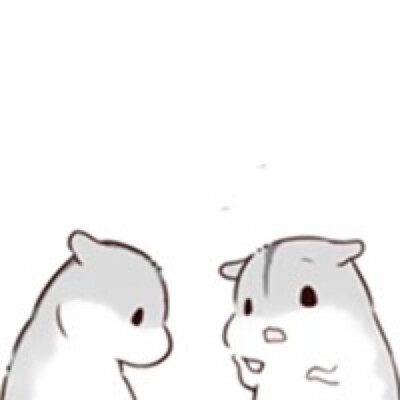 hamham仓鼠萌翻你
