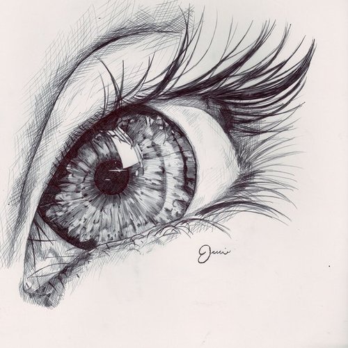 eye