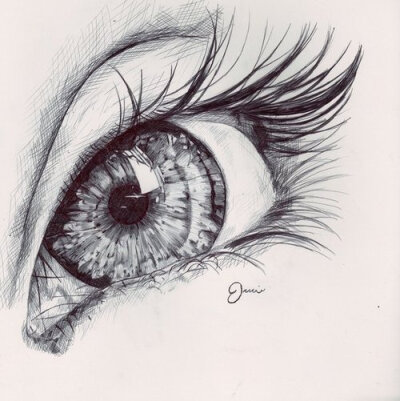 eye