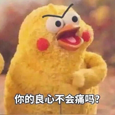 你的良心不会痛吗