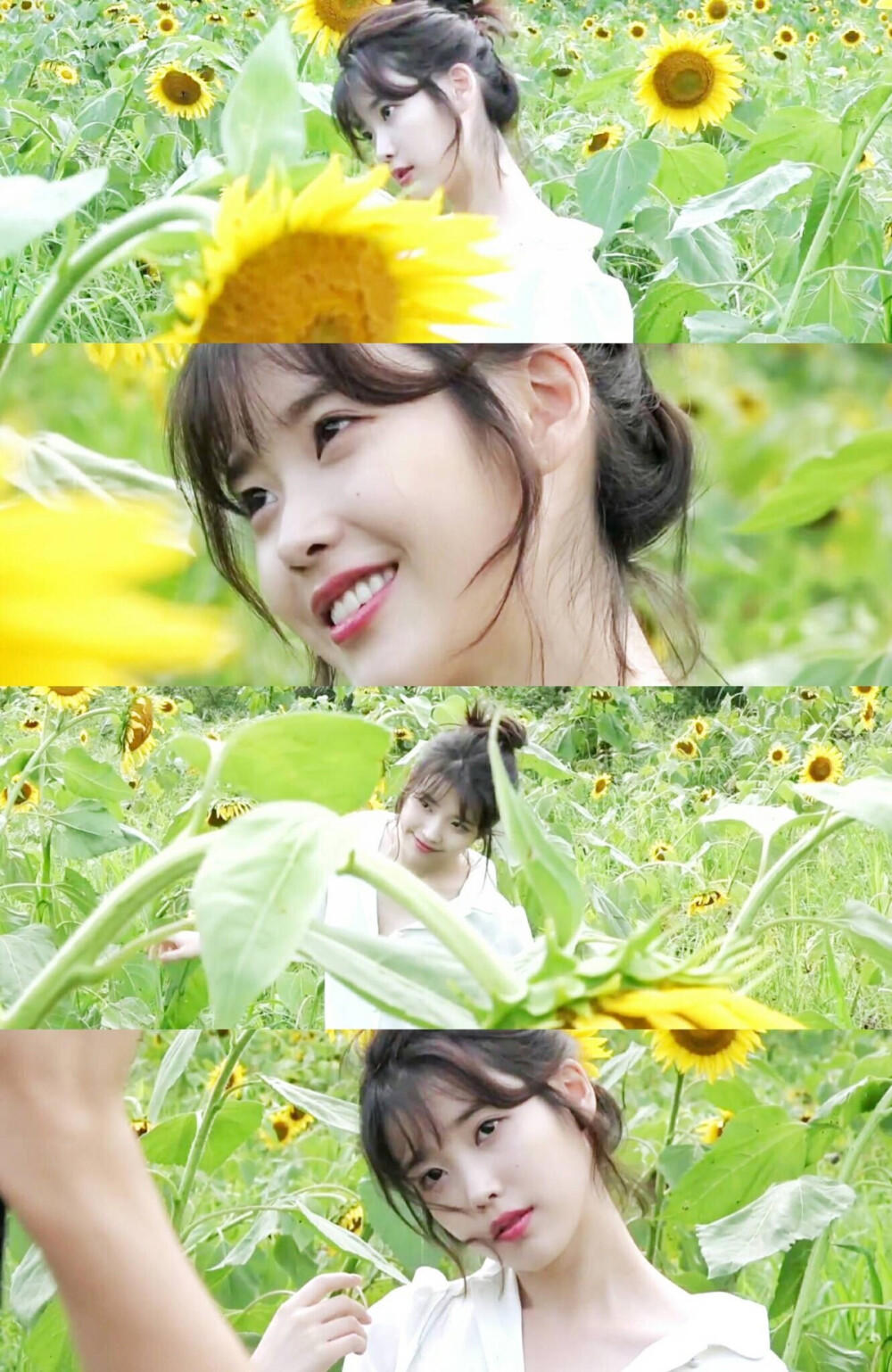 iu