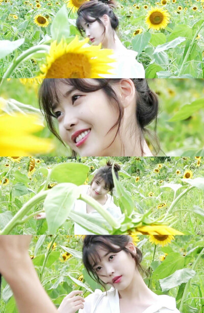 iu