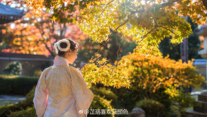 【大菇凉】【岂曰无衣 与子同袍】汉服 同袍 摄影 汉家衣裳 形制 袖制 摄影 气质 意境 唯美 
袄裙 
 #日本红叶季# 

等红叶

衣|@汉客丝路 

#汉服##汉服摄影##穿着汉服去旅行##日本##日本旅拍#  ​​