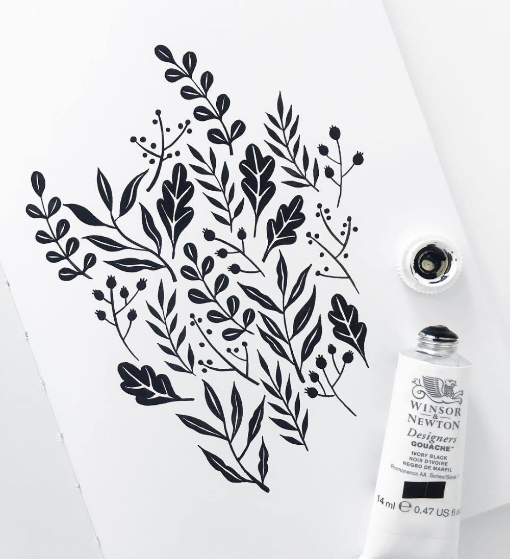 黑白插画植物手账素材insarcherandolive