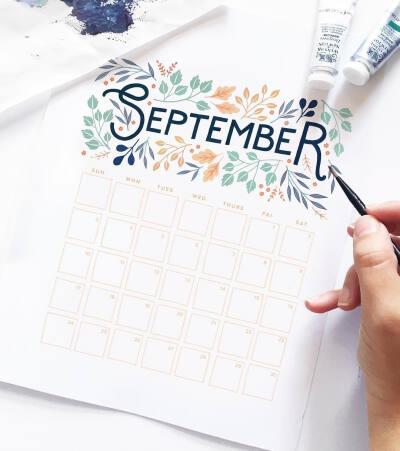 清新简笔画植物树叶手账素材插画 ‖ ins:archerandolive