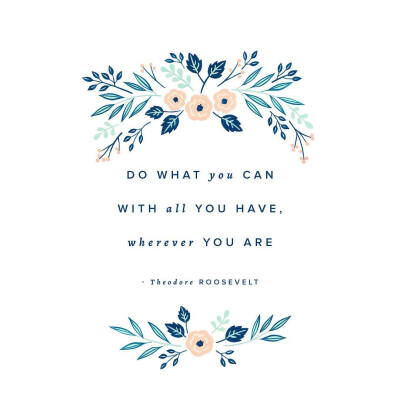 清新简笔画植物树叶手账素材插画 ‖ ins:archerandolive