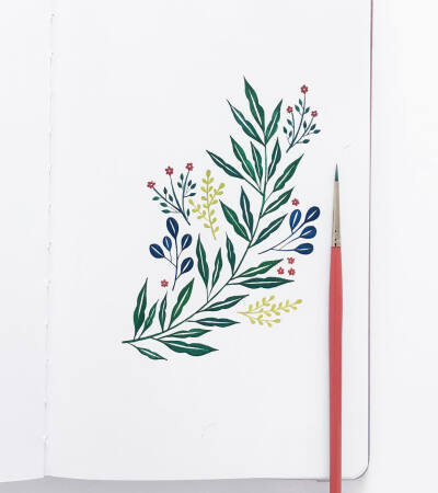 清新简笔画植物树叶手账素材插画 ‖ ins:archerandolive