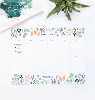 清新简笔画植物树叶手账素材插画 ‖ ins:archerandolive