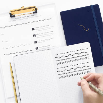 清新简笔画植物树叶手账素材插画 ‖ ins:archerandolive